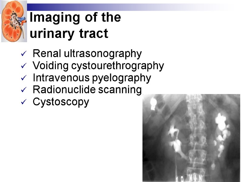 Imaging of the  urinary tract  Renal ultrasonography  Voiding cystourethrography Intravenous pyelography